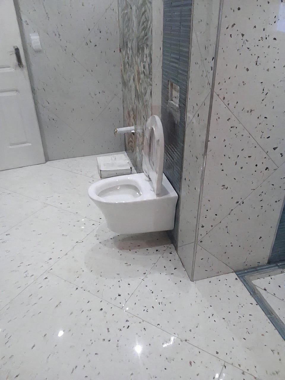Wall-hung toilet installed in a renovated bathroom
